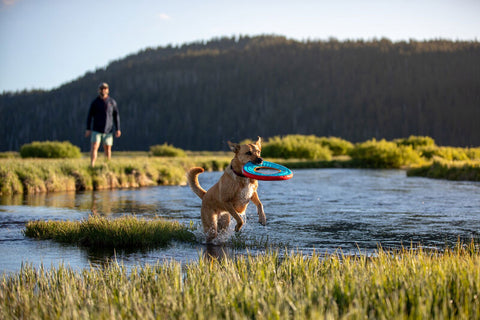 Ruffwear Hydro Plane Dog Toy Aurora Teal LARGE