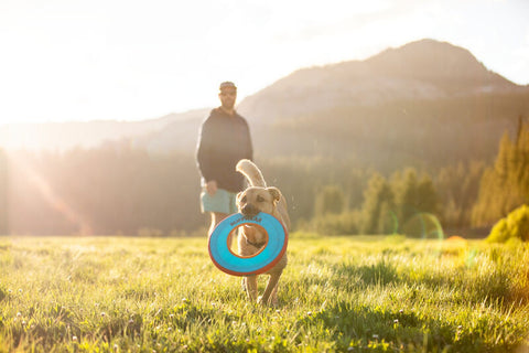 Ruffwear Hydro Plane Dog Toy Aurora Teal LARGE