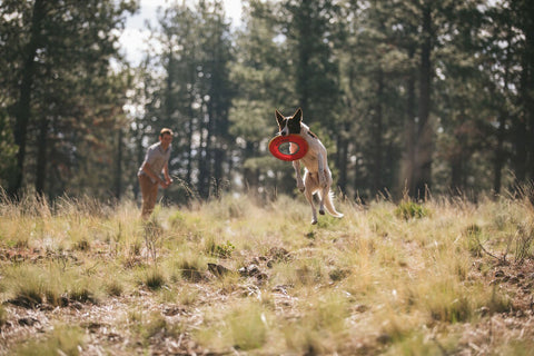 Ruffwear Hydro Plane Dog Toy Sockeye Red - DISC