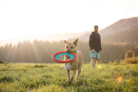 Ruffwear Hydro Plane Dog Toy Sockeye Red - DISC