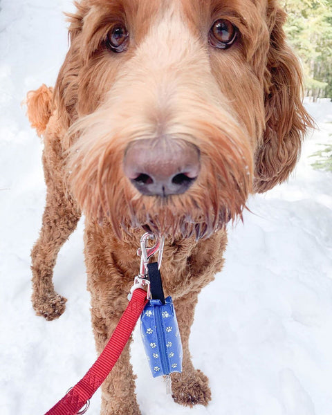 Doggie Walk Duffel Blue w White Stripes