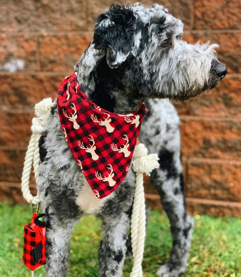 Doggie Walk Duffel Red w Blk Check