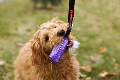 Doggie Walk Duffel Yellow w Blk  Bolts