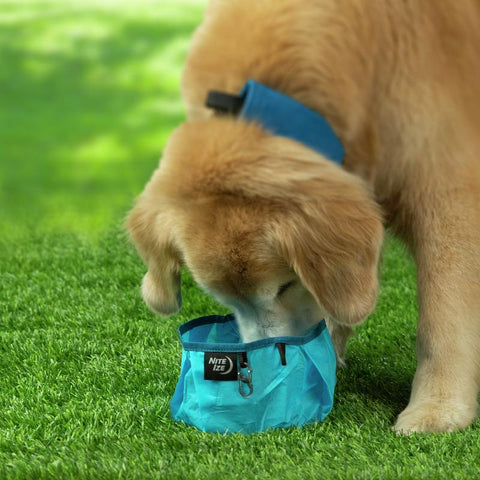 Nite Ize RadDog Collapsible Bowl Blue