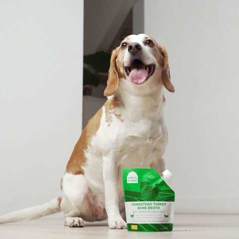 Open Farm Turkey Bone Broth 12oz