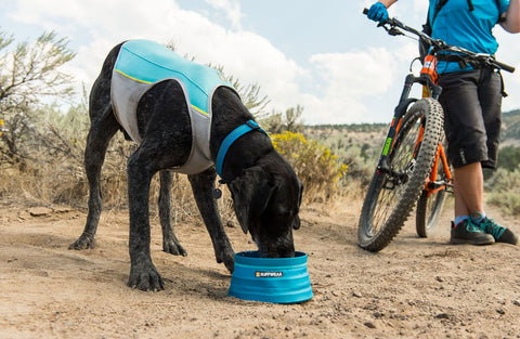 Ruffwear Bivy Bowl