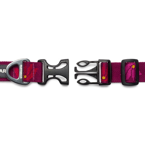 Ruffwear Hoopie Collar Lotus