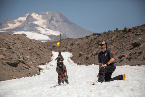 Ruffwear Huck A Cone Dog Toy Sockeye Red - DISC