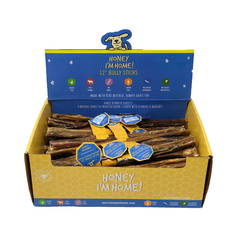 Honey Im Home Buffalo Bully