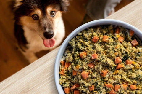 Open Farm Gently Cooked Chicken