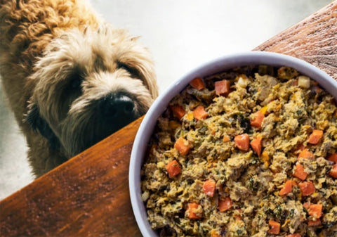 Open Farm Gently Cooked Turkey