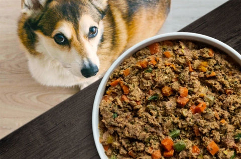 Open Farm Gently Cooked Beef