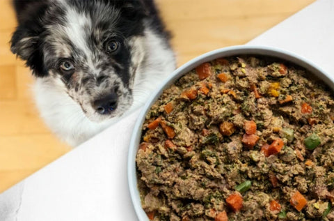 Open Farm Gently Cooked Surf 'N Turf