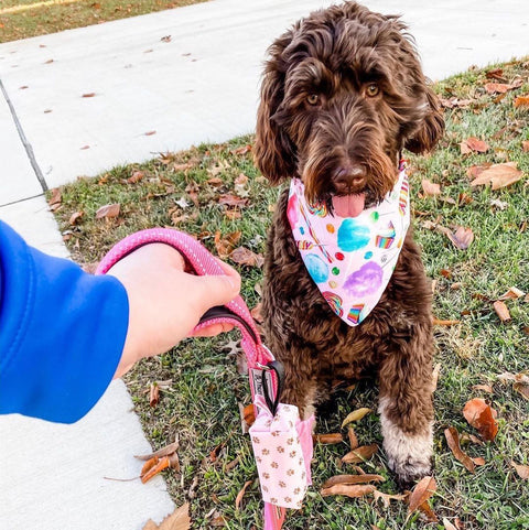DISCONTINUED Doggie Walk Duffel White With Pink Flamingos