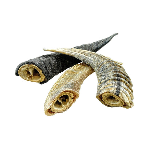 Icelandic+ Lamb Horn With Marrow