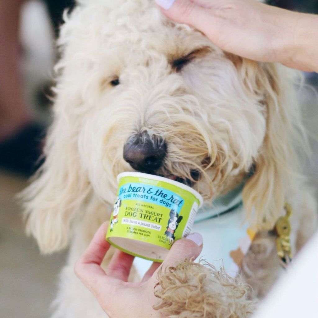 Banana Dog Food Yogurt Peanut Butter Frozen Dog Treats Peanut