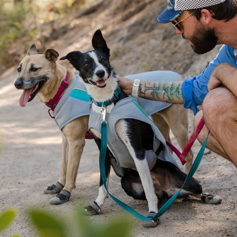 Ruffwear Front Range Collar Hibiscus Pink