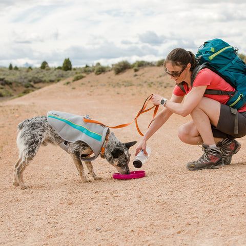 Ruffwear Front Range Collar Campfire Orange