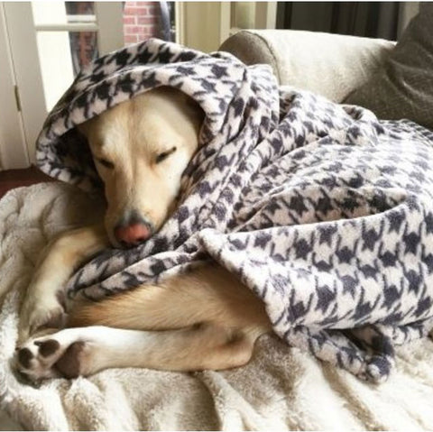 Tall Tails Fleece Blanket Houndstooth Applique 30 x 40 MD