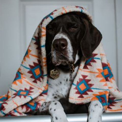 Tall Tails Fleece Blanket Southwest 30 x 40 MD