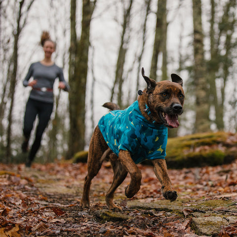 Ruffwear Climate Changer Jacket Glacier