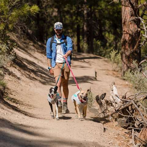 Ruffwear Front Range Leash Tumalo Teal - DISC