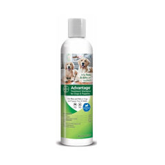 Flea top dermatitis shampoo