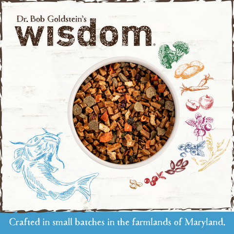 Earth Animal Wisdom CatFish