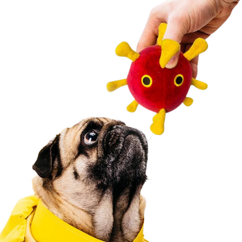 Giantmicrobes Covid-19 Dog Toy  DirtyDogs